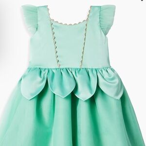 Princess and the frog costume